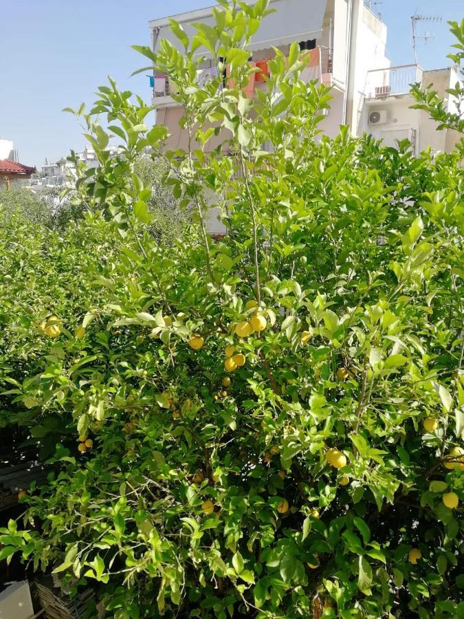 Lemontree Apartment Athens Ngoại thất bức ảnh